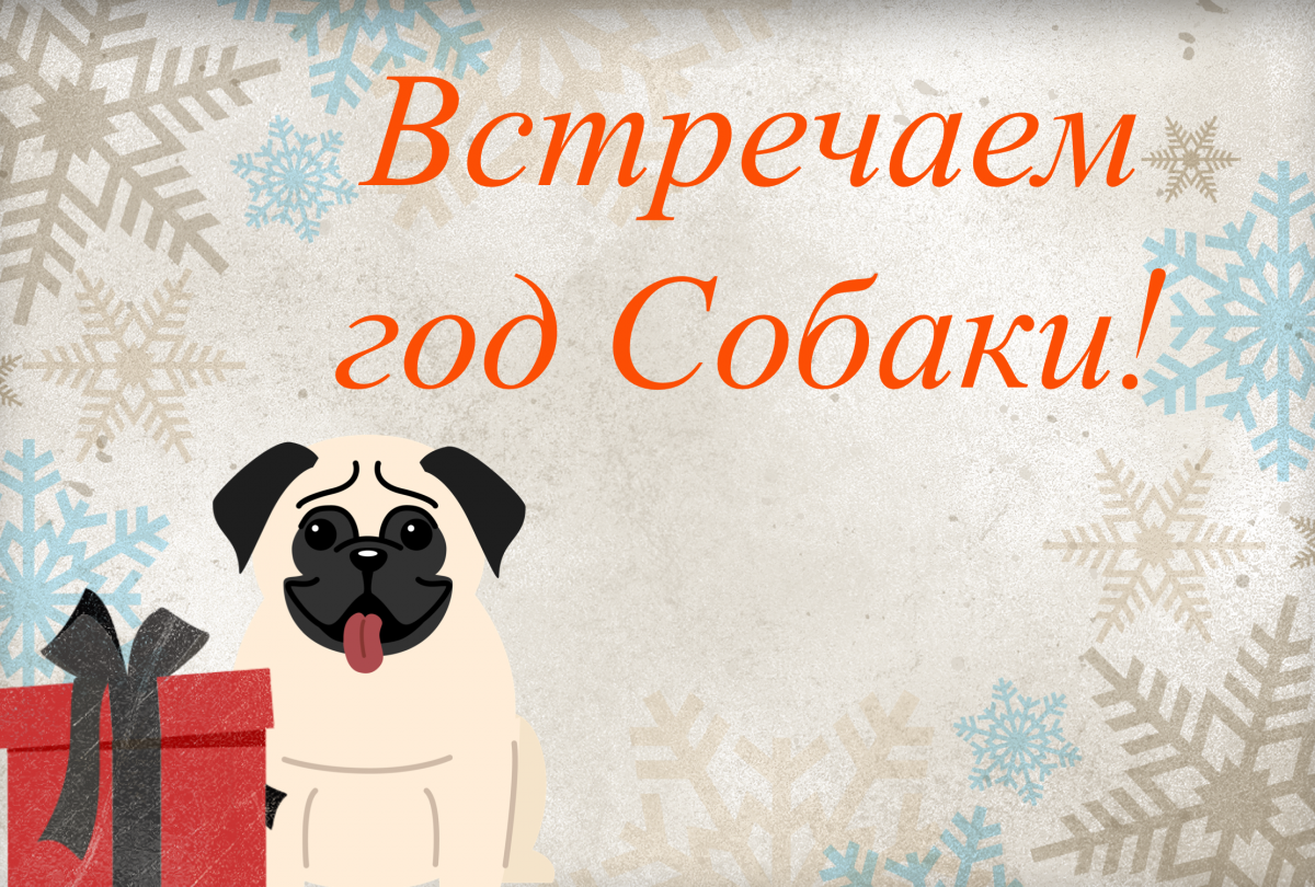 Встречаем Год Собаки вместе с Mingli.ru!