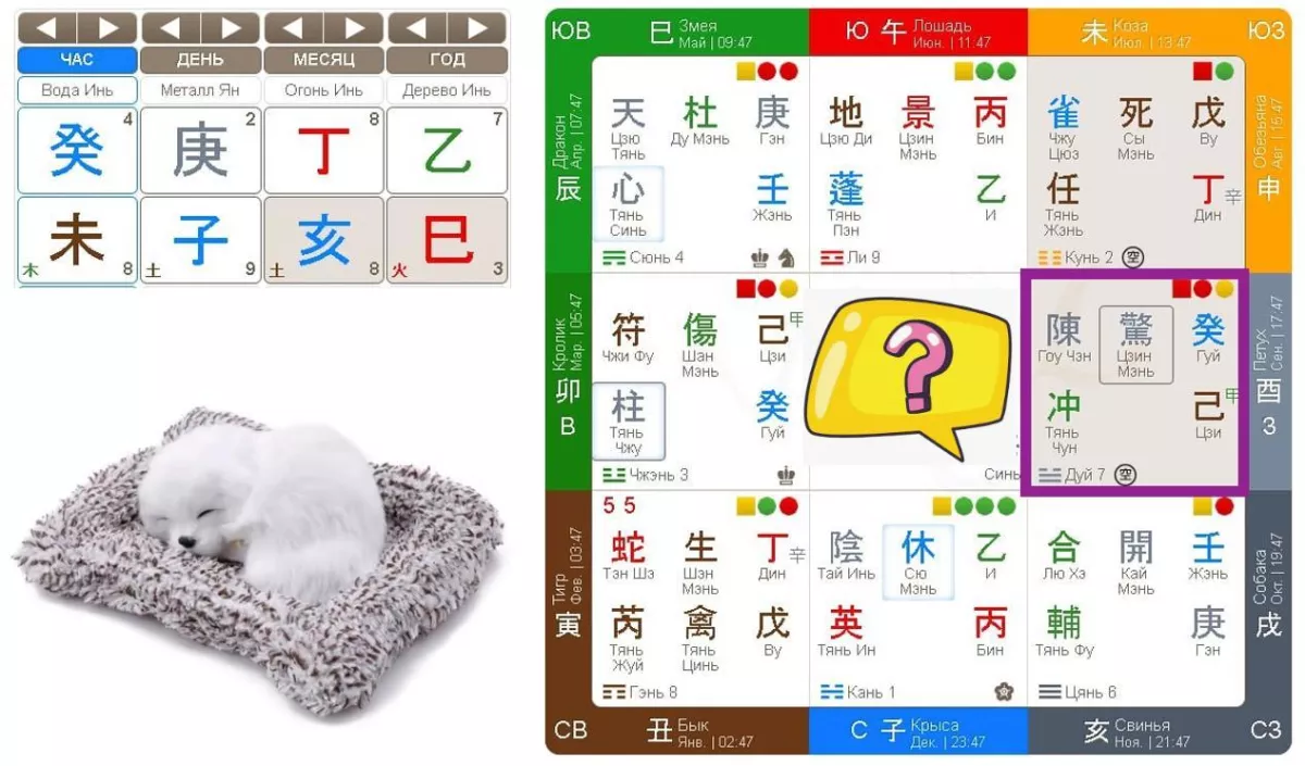 Где же ты, маленькая собачка? Поиск потерянной вещи с Ци Мэнь