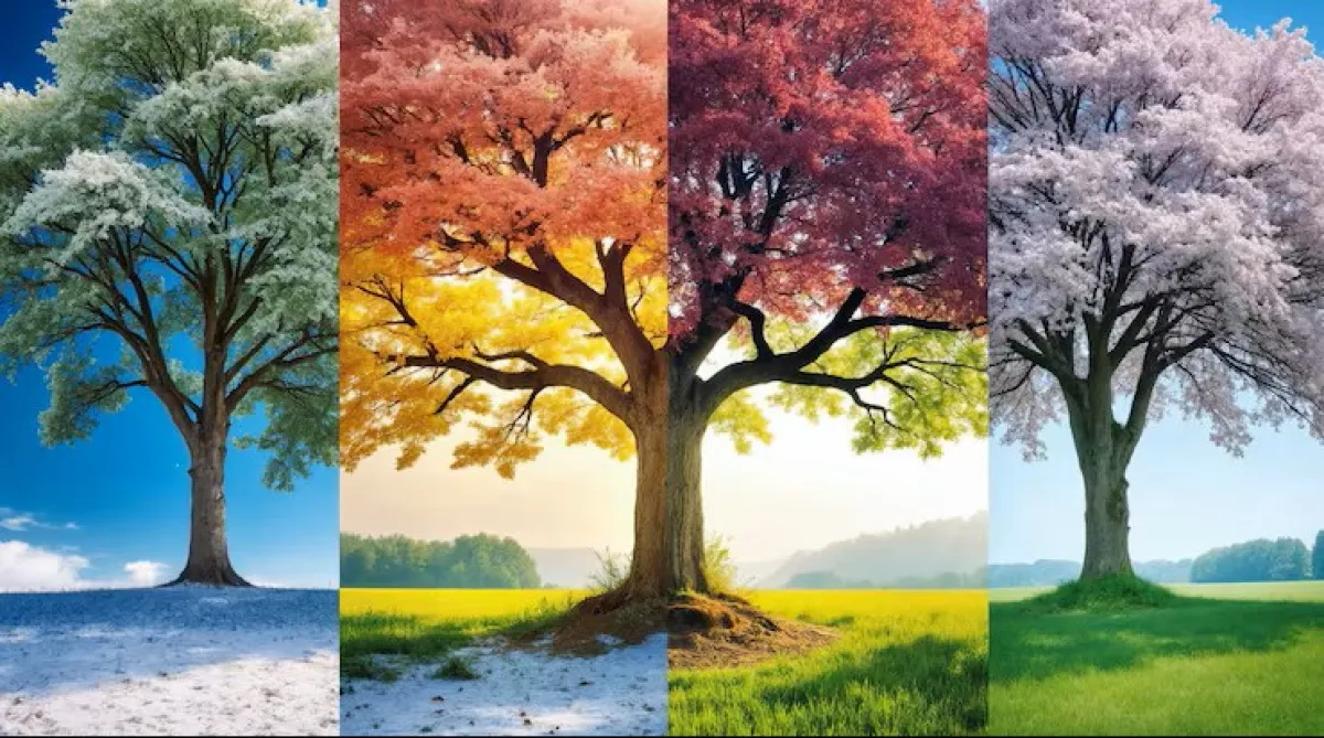 Здоровье в сезон Дерева