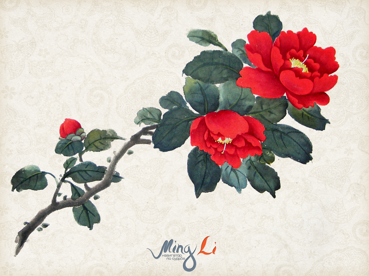 e7a3b33b7bea3118a536c4dce1c69494