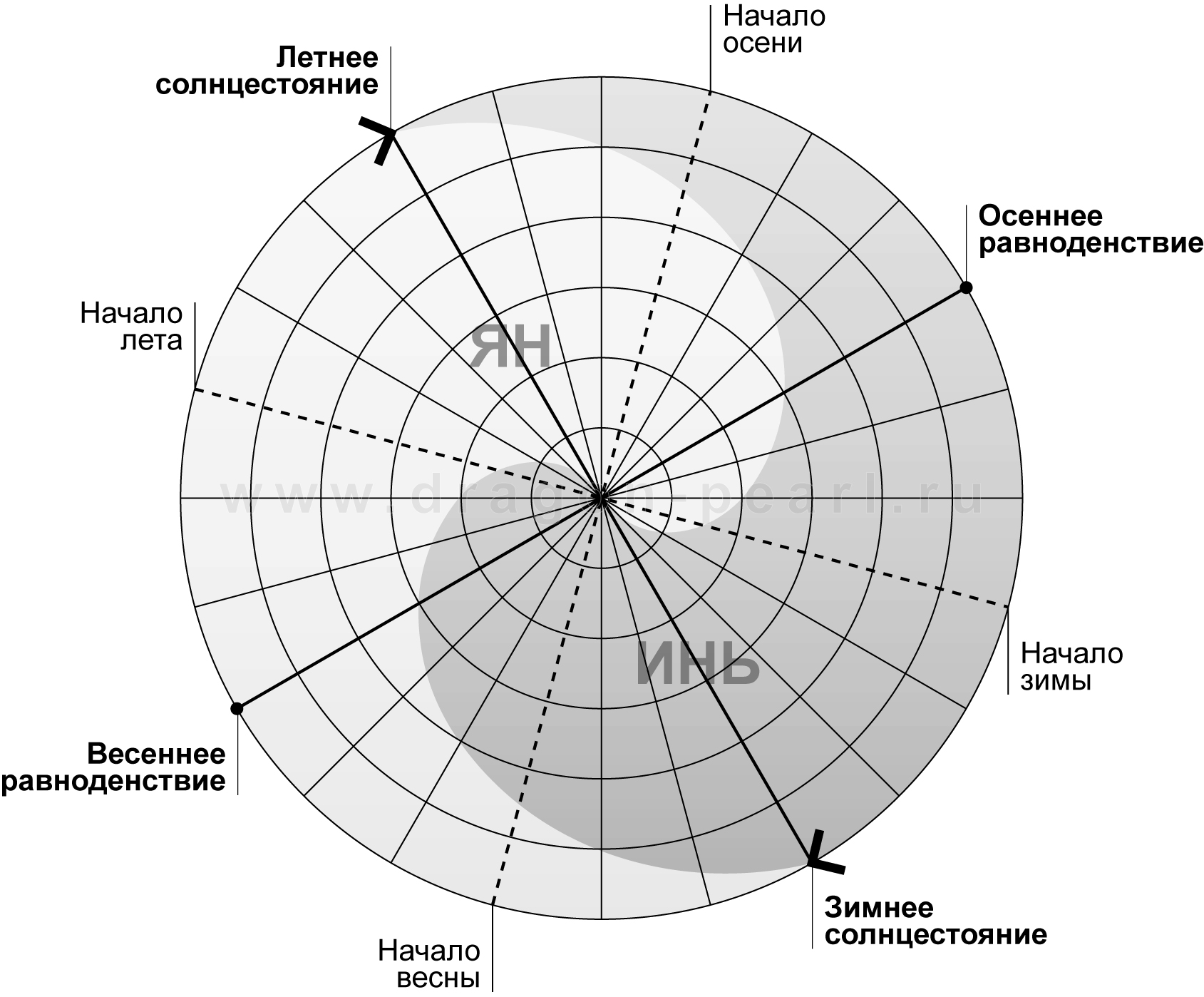 Инь и Ян в году
