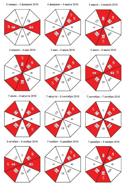 Летящие звезды на 2016 год