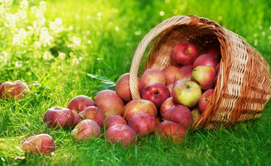 Правильное питание в августе