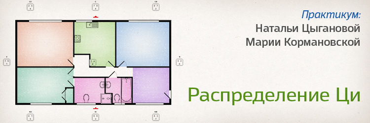 Мастер-класс по распределению ци. .<br />Преподаватели: <strong>Мария Кормановская, Наталия Цыганова</strong>