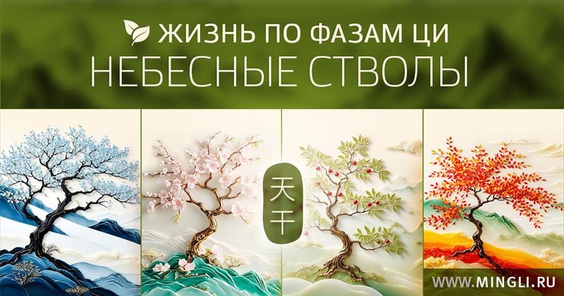 Жизнь по фазам Ци. Небесные стволы.. .<br />Teacher: <strong>Елена Фролова</strong>