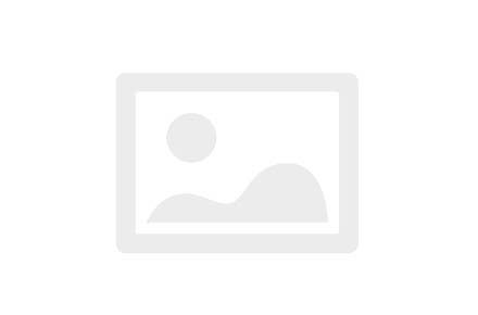 Шелковый платок – Обезьяна